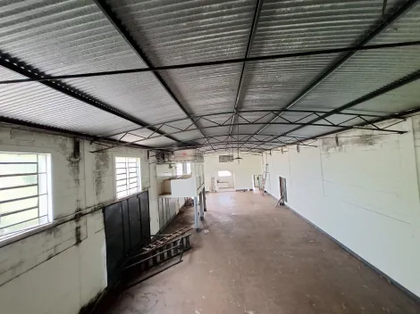 Alugar Comercial padrão / Galpão - Armazém em Ribeirão Preto R$ 7.500,00 - Foto 5