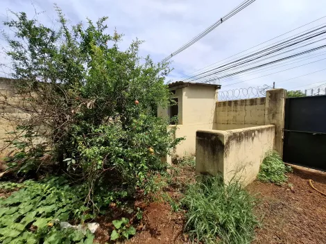 Alugar Comercial padrão / Galpão - Armazém em Ribeirão Preto R$ 7.500,00 - Foto 34