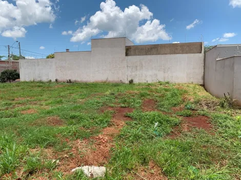 Comprar Terreno / Padrão em Sertãozinho R$ 380.000,00 - Foto 4