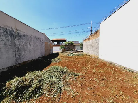 Comprar Terreno / Padrão em Ribeirão Preto R$ 125.000,00 - Foto 5