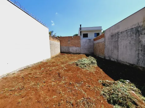 Comprar Terreno / Padrão em Ribeirão Preto R$ 125.000,00 - Foto 8