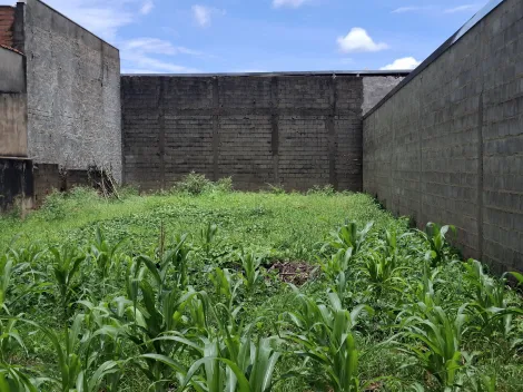 Comprar Terreno / Padrão em Ribeirão Preto R$ 160.000,00 - Foto 2