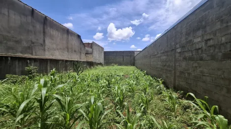 Comprar Terreno / Padrão em Ribeirão Preto R$ 160.000,00 - Foto 5