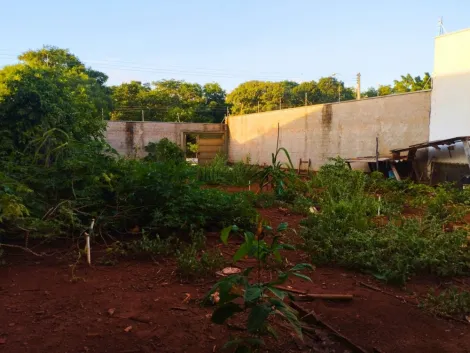 Luís Antônio - Jardim Jataí - Terreno - Padrão - Venda