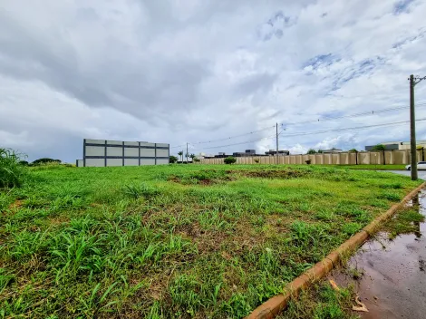 Terreno / Comercial em Ribeirão Preto Alugar por R$0,00