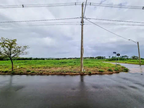 Comprar Terreno / Comercial em Ribeirão Preto R$ 385.000,00 - Foto 3