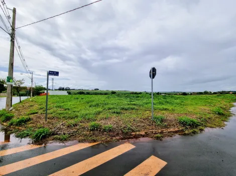 Comprar Terreno / Comercial em Ribeirão Preto R$ 385.000,00 - Foto 4