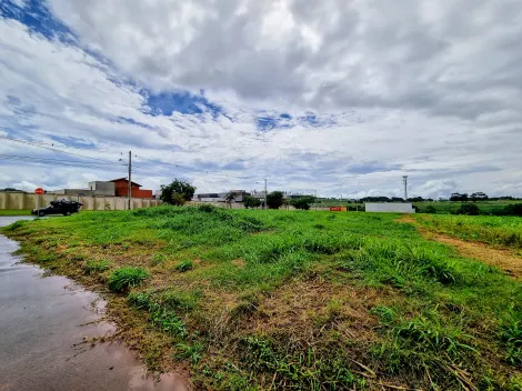 Comprar Terreno / Comercial em Ribeirão Preto R$ 385.000,00 - Foto 6