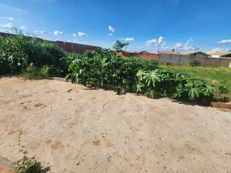 Terreno / Padrão em Ribeirão Preto Alugar por R$0,00