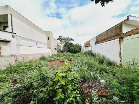 Comprar Terreno / Padrão em Ribeirão Preto R$ 580.000,00 - Foto 7