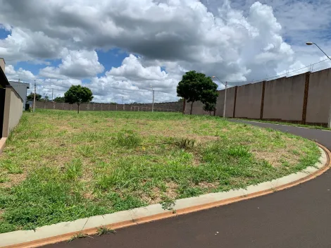 Comprar Terreno / Condomínio em Bonfim Paulista R$ 380.000,00 - Foto 2